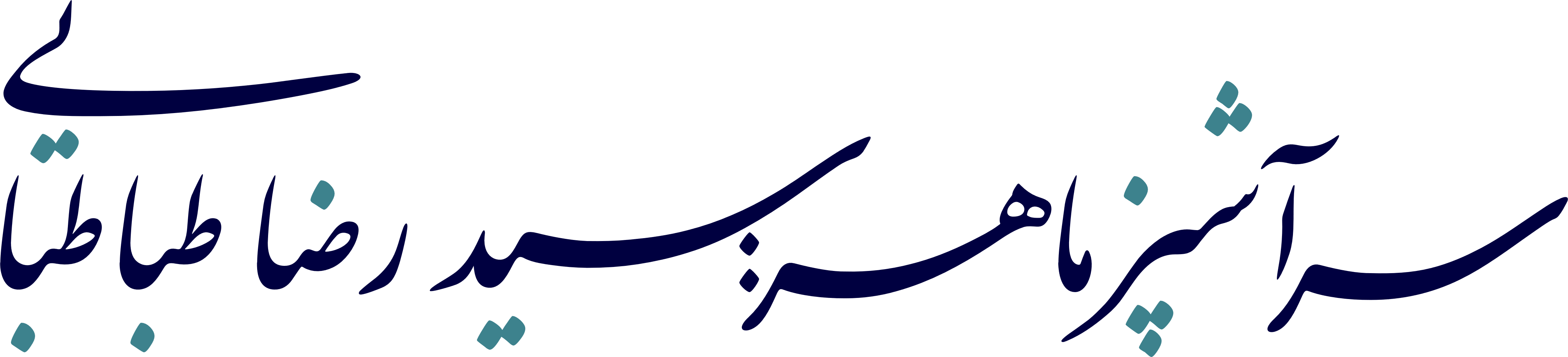 سرآشپز سید رضا طباطبایی